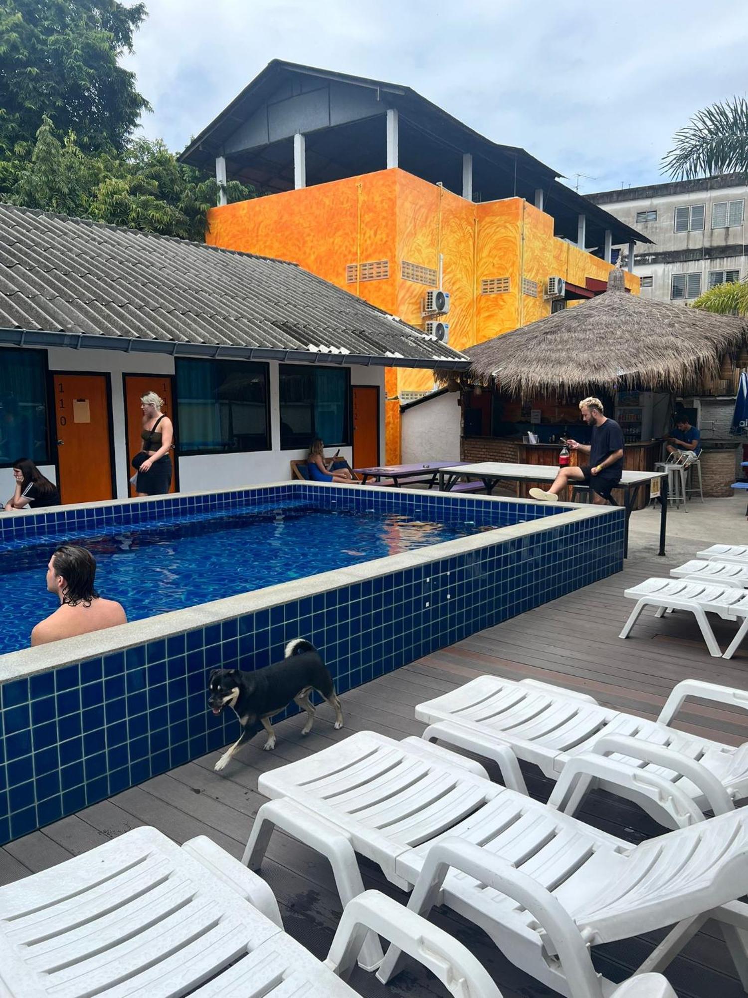 Revolution Chiang Mai - Old Town Hostel Εξωτερικό φωτογραφία